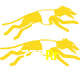  777Rr